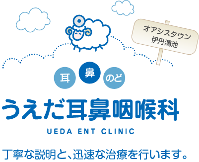 うえだ耳鼻咽喉科 丁寧な説明と、迅速な治療を行います。